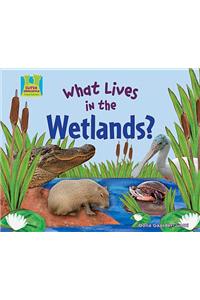 What Lives in the Wetlands?