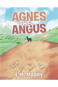 Agnes the Angus