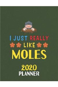 I Just Really Like Moles 2020 Planner