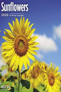 SUNFLOWERS WALL CALENDAR 2020