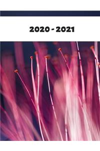 2020-2021