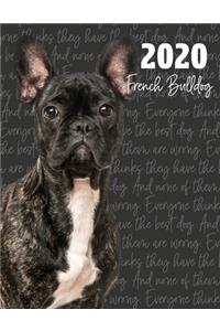 2020 French Bulldog