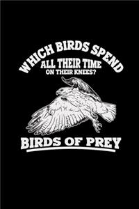 Birds of prey