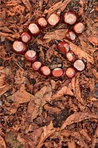 Chestnut Heart in the Leaves Journal