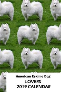 American Eskimo Dog Lovers 2019 Calendar