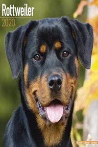 Rottweiler Calendar 2020