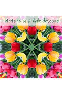 Nature in a Kaleidoscope