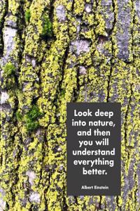 Look Deep Into Nature, and Then You Will Understand Everything Better. Albert Einstein