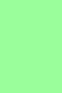 Light Green Notebook