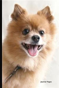 Journal Pages - Doggy Dog(unruled)