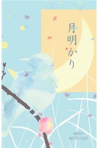 Agenda Agosto-Luglio