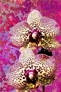 Orchid Journal