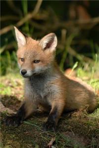 Say Hello to the Little Fox Journal