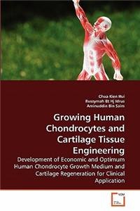 Growing Human Chondrocytes and Cartilage Tissue Engineering