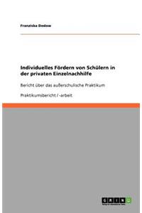 Individuelles Fördern von Schülern in der privaten Einzelnachhilfe