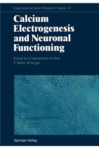 Calcium Electrogenesis and Neuronal Functioning