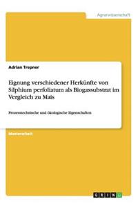 Eignung verschiedener Herkünfte von Silphium perfoliatum als Biogassubstrat im Vergleich zu Mais