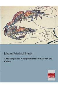 Abbildungen Zur Naturgeschichte Der Krabben Und Krebse