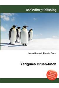 Yariguies Brush-Finch