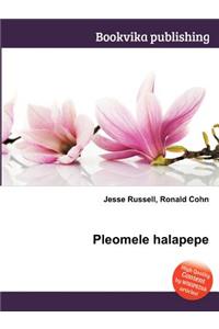 Pleomele Halapepe