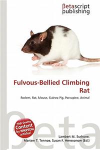 Fulvous-Bellied Climbing Rat
