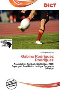 Gabino Rodr Guez Rodr Guez