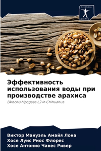 Эффективность использования воды при про