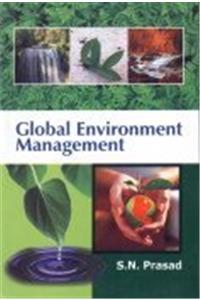 Global Environment Management