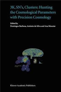 3k, Sn's, Clusters: Hunting the Cosmological Parameters with Precision Cosmology