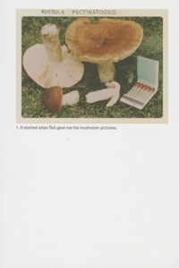 Jason Fulford: The Mushroom Collector