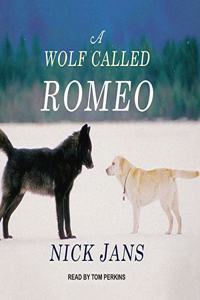 A Wolf Called Romeo