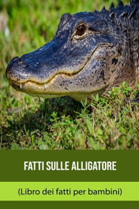 Fatti sulle Alligatore (Libro dei fatti per bambini)