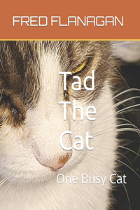 Tad The Cat
