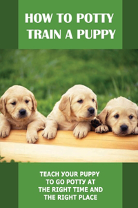 How To Potty Train A Puppy