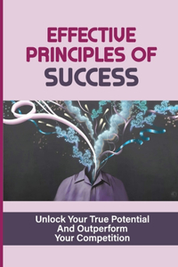 Effective Principles Of Success