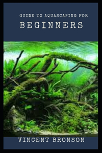 Guide to Aquascaping for Beginners