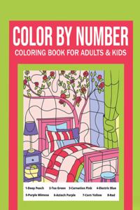 Color By Number Coloring Book For Adults & Kids