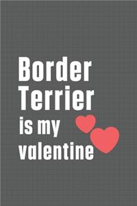 Border Terrier is my valentine