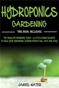 Hydroponics Gardening