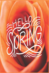 Hello Spring