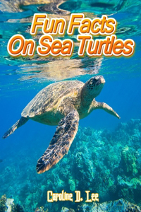 Fun Facts On Sea Turtles