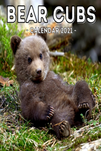Bear Cubs Calendar 2021