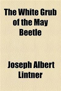 The White Grub of the May Beetle