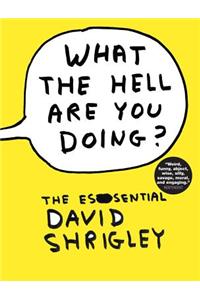 What the Hell Are You Doing?: The Essential David Shrigley