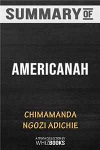 Summary of Americanah