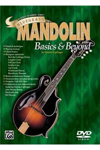 Ultimate Beginner Bluegrass Mandolin Basics & Beyond