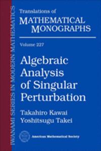 Algebraic Analysis of Singular Perturbation