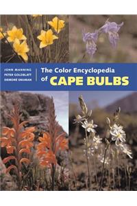Color Encyclopedia of Cape Bulbs