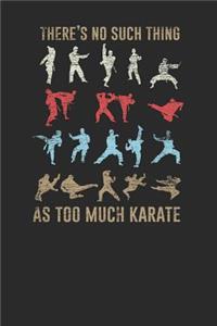 There's No Such Thing As Too Much Karate