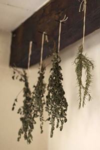 Dried Herbs from the Garden Journal